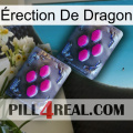 Érection De Dragon 01